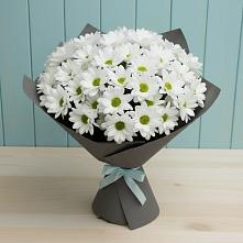 Букет цветов из:  Хризантемы в Белорецке
